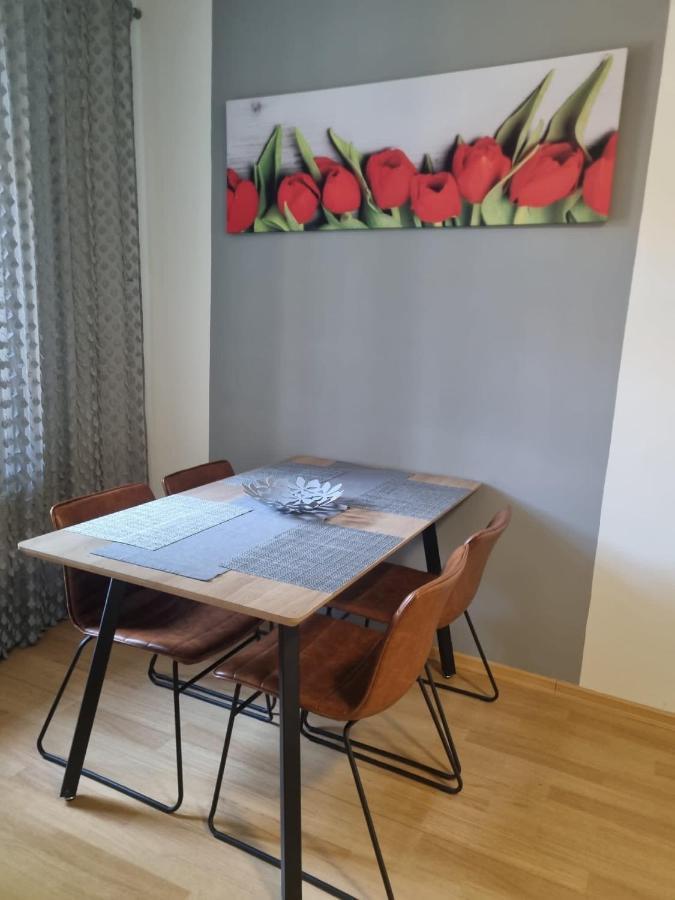 Cerny Tulipan - Apartman 1 Pilsen Exterior foto