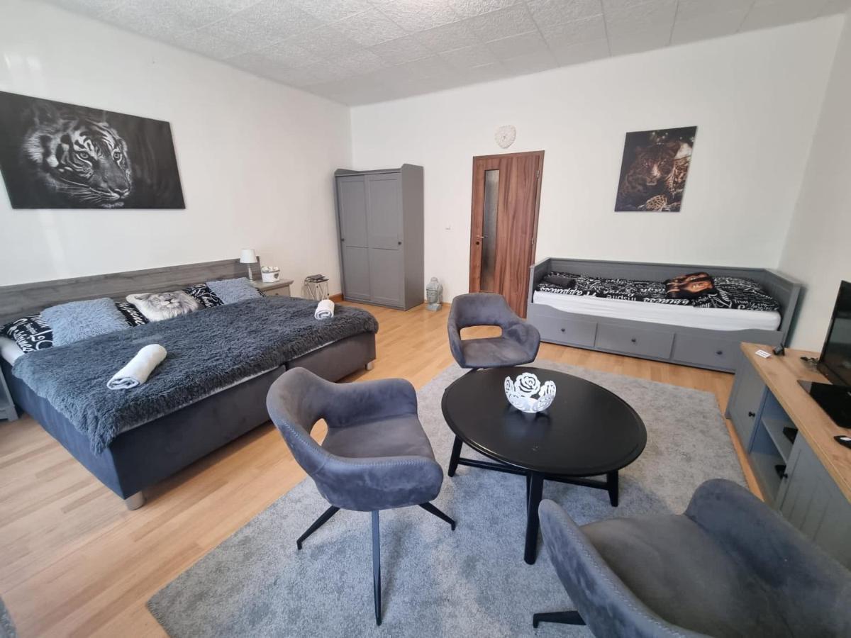 Cerny Tulipan - Apartman 1 Pilsen Exterior foto